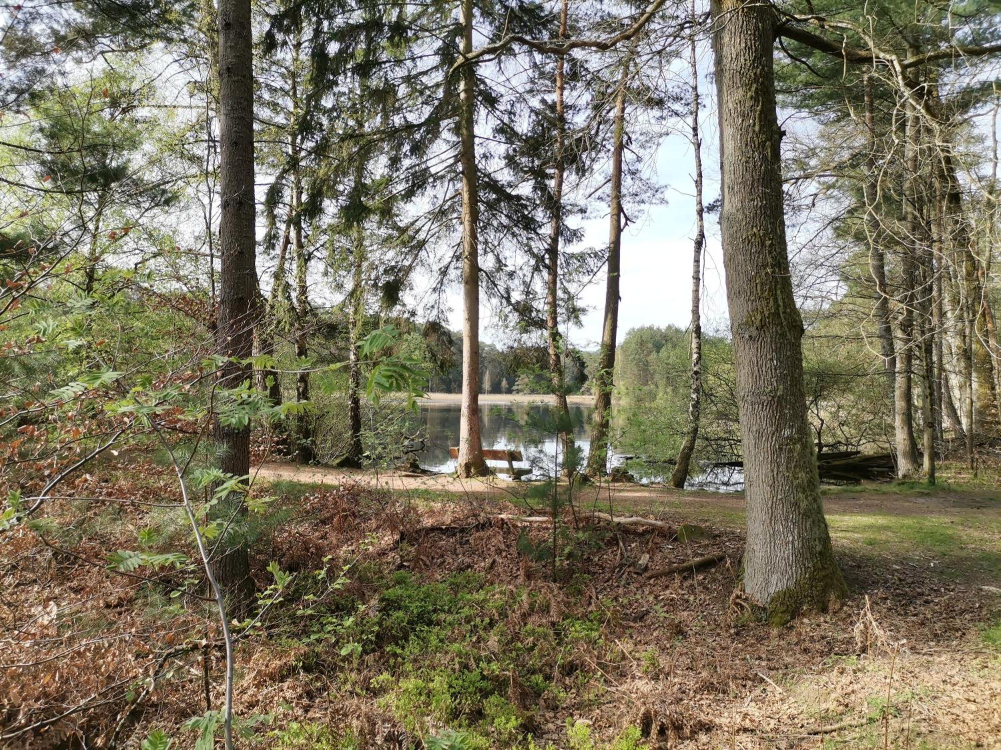 Ferienwohnungen 'Blick Zur Madonna' Fischbach bei Dahn Exterior photo